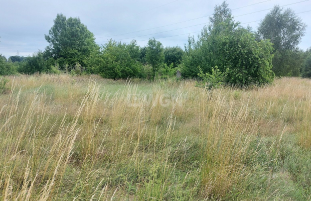 Chocianów, działka budowlana, 12 ar, 90 000 zł, sprzedam.  
  
W ofercie sprzedaży atrakcyjna działka budowlana o powierzchni 1