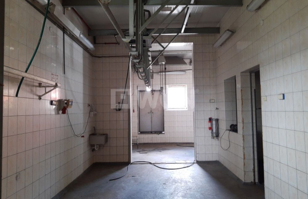 Polkowice, hala magazynowo- usługowa, do wynajęcia, ogrodzona, 300 m2, cena 6 000 zł miesięcznie.  
  
Do wynajęcia hala po był