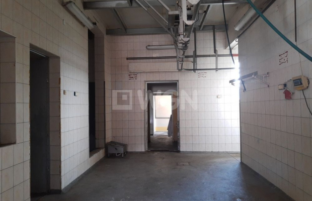 Polkowice, hala magazynowo- usługowa, do wynajęcia, ogrodzona, 300 m2, cena 6 000 zł miesięcznie.  
  
Do wynajęcia hala po był