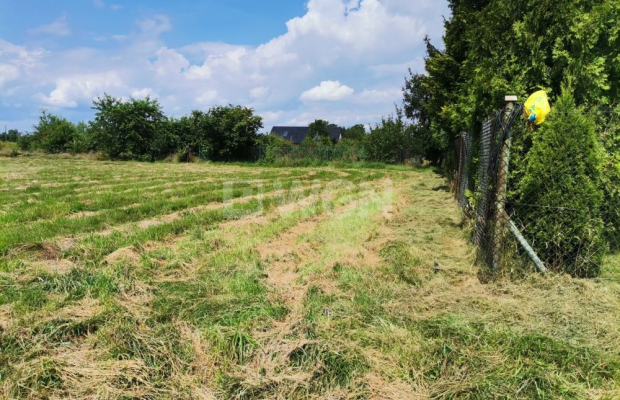Jędrzychów, działka budowlana, 14,67 ar, sprzedaż, 146 700 zł.  
  
Na sprzedaż grunt w miejscowości Jędrzychów w powiecie polk