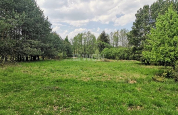 Dąbrowa, gmina Polkowice, działka budowlana, 13200 m2, sprzedaż, 594 000 zł.  
  
Na sprzedaż grunt budowlany w miejscowości Dą
