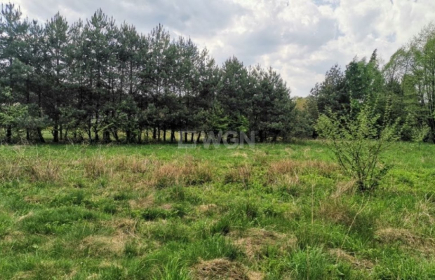Dąbrowa, gmina Polkowice, działka budowlana, 13200 m2, sprzedaż, 594 000 zł.  
  
Na sprzedaż grunt budowlany w miejscowości Dą