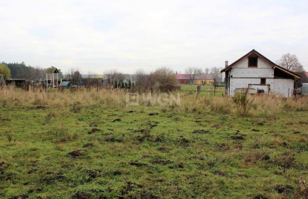 Trzęsów, działka budowlana, 1166 m2, 60, 000 zł, sprzedam.  
  
Oferta wyłącznie w WGN Polkowice.  
  
Na sprzedaż działka budo