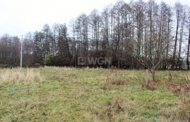 Trzęsów, działka budowlana, 1166 m2, 60, 000 zł, sprzedam.  
  
Oferta wyłącznie w WGN Polkowice.  
  
Na sprzedaż działka budo