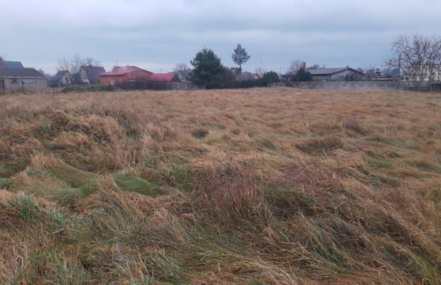 Rokitki, gmina Chojnów, działka budowlana, 1000 m2, sprzedam, 80,000 zł.  
  
Oferta wyłącznie w WGN Polkowice.  
  
Na sprzeda