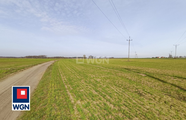 Lipin, gmina Radwanice, powiat Polkowicki, działki, 16380 m2, sprzedam, 1 326 780 zł, 81zł/m2.  
  
Na sprzedaż grunt położony 