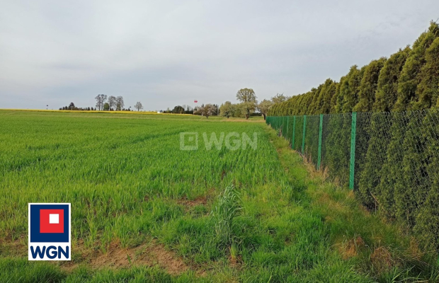 Kłobuczyn, gmina Gaworzyce, działka budowlana, 1323m2, cena 39 000zł.  
  
Zapraszam do zapoznania się z ofertą działek znajduj