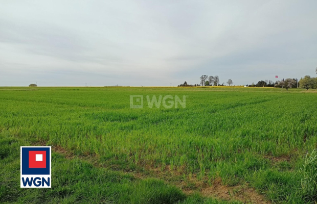 Kłobuczyn, gmina Gaworzyce, działka budowlana, 1323m2, cena 39 000zł.  
  
Zapraszam do zapoznania się z ofertą działek znajduj