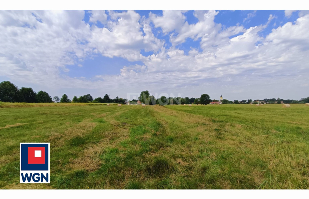 Jędrzychów, działka rolna, 7000m2, 150 000zł, sprzedam.


Zapraszam do zapoznania się z ofertą działki rolnej położonej w miejs