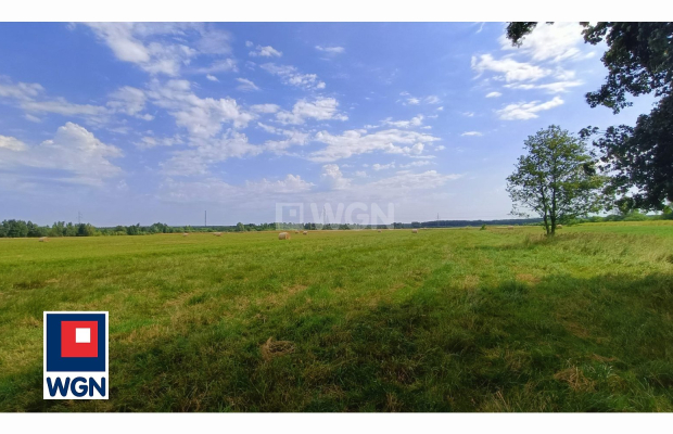 Jędrzychów, działka rolna, 7000m2, 150 000zł, sprzedam.


Zapraszam do zapoznania się z ofertą działki rolnej położonej w miejs