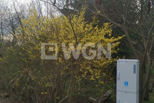 Niegosławice, Sucha Dolna, działka budowlana, 1700 m2, sprzedam, cena 55000 zł.  
  
Na sprzedaż atrakcyjna działka o kształcie