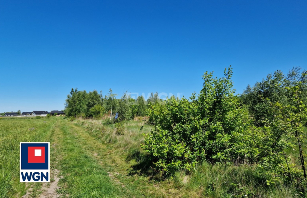 Nowa Kopernia, działka 1600 m2, cena 96 000 zł, sprzedam.  
  
Na sprzedaż działka budowlana w rejonie Szprotawa/Nowa Kopernia 