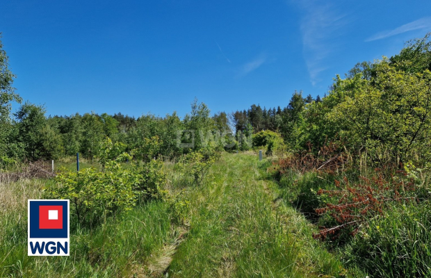 Nowa Kopernia, działka 1600 m2, cena 96 000 zł, sprzedam.  
  
Na sprzedaż działka budowlana w rejonie Szprotawa/Nowa Kopernia 
