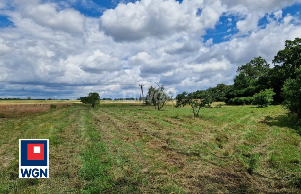 Wiechlice, działka budowlana, 1603 m2, cena 96 180 zł, sprzedam.  
  
Na sprzedaż działka nr 141/2, z wydanymi warunkami zabudo