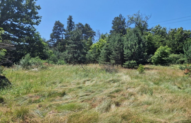 Sieraków, działka siedliskowa, 1700 m2, sprzedam, cena 139 000 zł.  
  
 Oferta wyłącznie w WGN Nieruchomości.  
  
 Sprzedam d