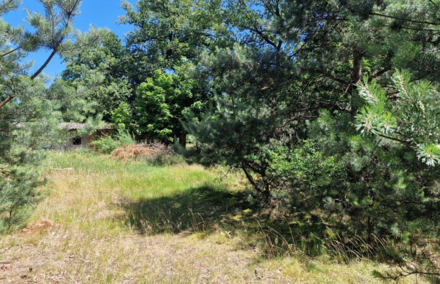 Sieraków, działka siedliskowa, 1700 m2, sprzedam, cena 139 000 zł.  
  
 Oferta wyłącznie w WGN Nieruchomości.  
  
 Sprzedam d