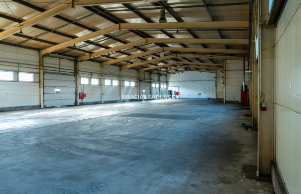 Hala 1000 m2 - Rybitwy Kraków