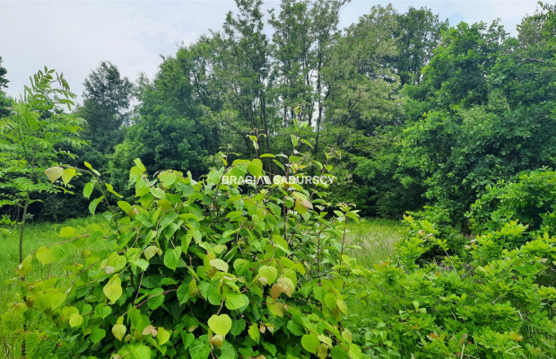  Działka budowlana w miejscowości Facimiech.