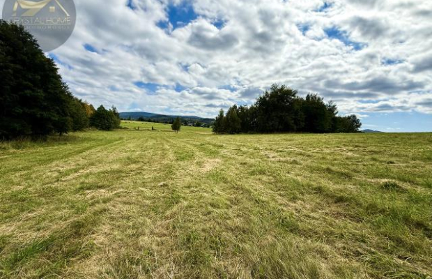 Działka 4025 m² z warunkami zabudowy – Boreczna