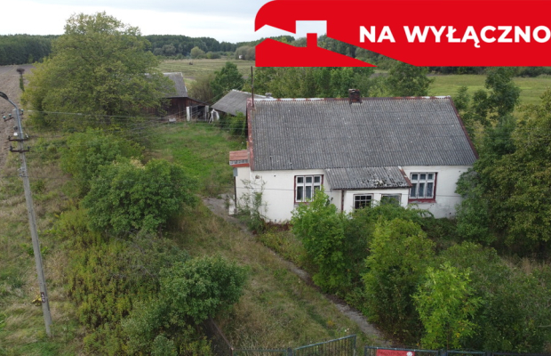 Siedlisko na dużej działce w Dobrucie gm. Orońsko.