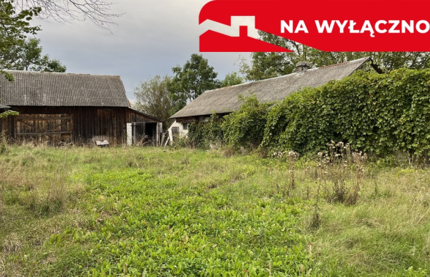 Siedlisko na dużej działce w Dobrucie gm. Orońsko.