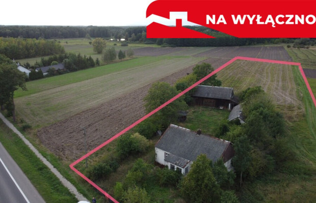 Siedlisko na dużej działce w Dobrucie gm. Orońsko.
