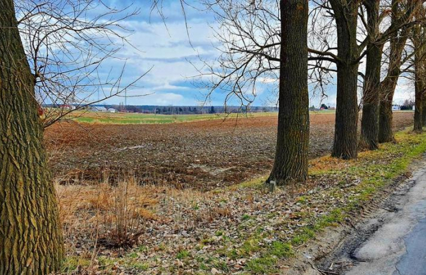 Działka inwestycyjna w Zemborzycach Kościelnych