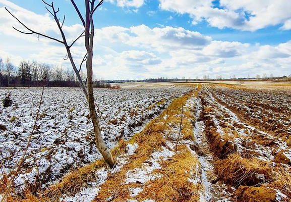 Działka budowlana Płouszowice Kolonia - 35ar