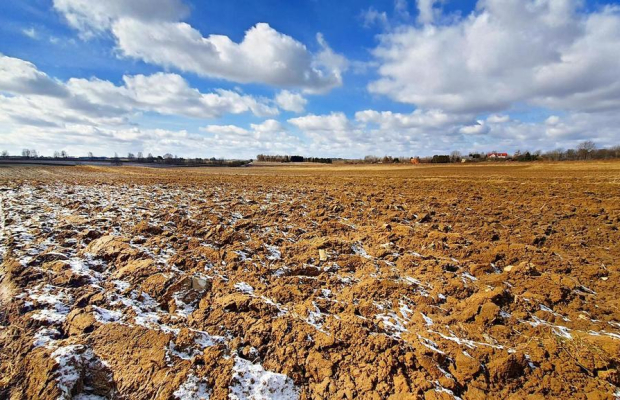 Działka budowlana Płouszowice Kolonia - 35ar