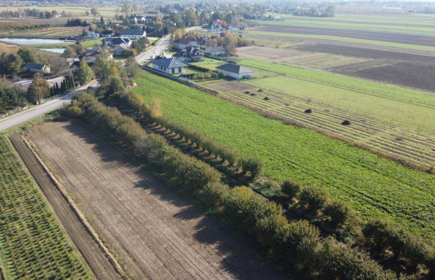 Działka budowlana Krasnystaw ul. Kościuszki 42,8ar
