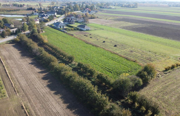 Działka budowlana Krasnystaw ul. Kościuszki 42,8ar