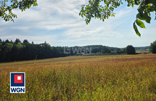 Zimna Brzeźnica, grunt, 70 ar, sprzedam, cena 160 000 zł. 
 
Na sprzedaż atrakcyjna działka rolna o powierzchni 70 ar, położona