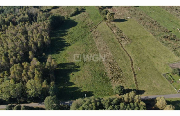 Krzywczyce, działa budowlana, 4479 m2, sprzedam, 130 000 zł  
  
Na sprzedaż działka rolna, z wydanymi warunkami zabudowy na do