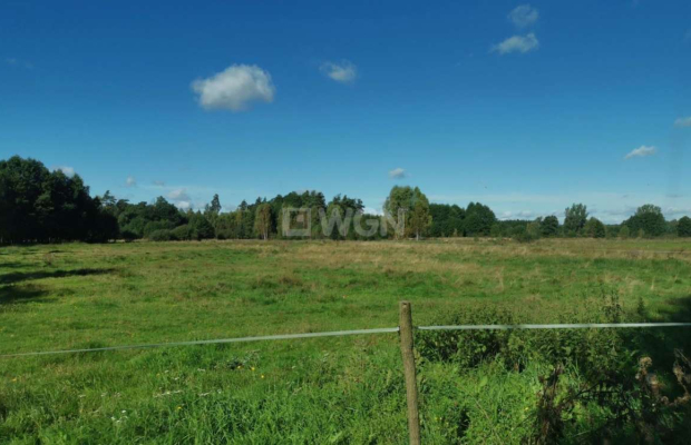 Krzywczyce, działa budowlana, 4479 m2, sprzedam, 130 000 zł  
  
Na sprzedaż działka rolna, z wydanymi warunkami zabudowy na do