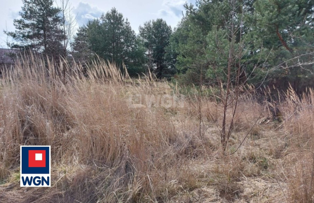 Szprotawa, działka budowlana 557 m2, sprzedam, cena 69 000 zł.  
  
Oferta wyłącznie w WGN Nieruchomości.  
  
 Na sprzedaż dzi