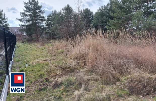 Szprotawa, działka budowlana 557 m2, sprzedam, cena 69 000 zł.  
  
Oferta wyłącznie w WGN Nieruchomości.  
  
 Na sprzedaż dzi