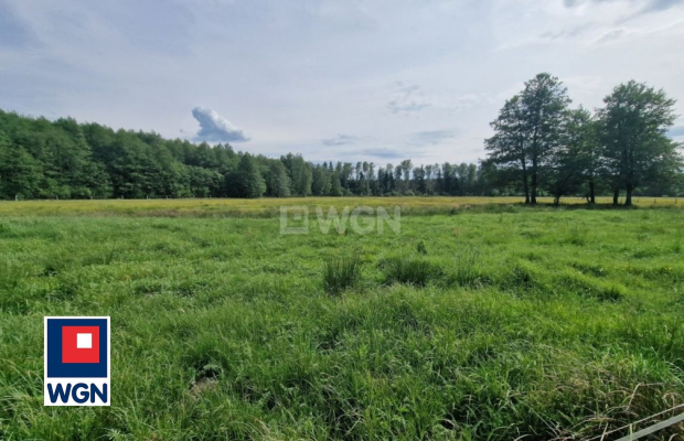 Krzywczyce, działka 12 422 m2, sprzedam, cena 149 000 zł.  
  
 Oferta wyłacznie w WGN Nieruchomości.  
  
 Sprzedam duża dział