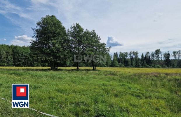 Krzywczyce, działka 12 422 m2, sprzedam, cena 149 000 zł.  
  
 Oferta wyłacznie w WGN Nieruchomości.  
  
 Sprzedam duża dział