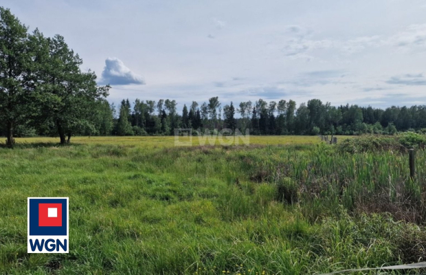 Krzywczyce, działka 12 422 m2, sprzedam, cena 149 000 zł.  
  
 Oferta wyłacznie w WGN Nieruchomości.  
  
 Sprzedam duża dział