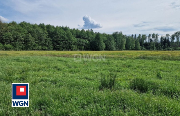 Krzywczyce, działka 12 422 m2, sprzedam, cena 149 000 zł.  
  
 Oferta wyłacznie w WGN Nieruchomości.  
  
 Sprzedam duża dział