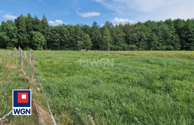 Krzywczyce, działka 12 422 m2, sprzedam, cena 149 000 zł.  
  
 Oferta wyłacznie w WGN Nieruchomości.  
  
 Sprzedam duża dział