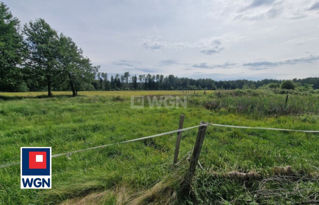 Krzywczyce, działka 12 422 m2, sprzedam, cena 149 000 zł.  
  
 Oferta wyłacznie w WGN Nieruchomości.  
  
 Sprzedam duża dział