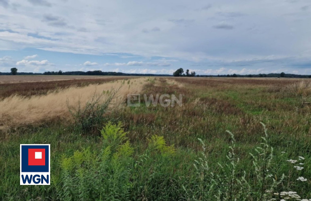 Chichy, działka budowlana 1300 m2, sprzedam, cena 58 500 zł.  
  
 Oferta wyłącznie w WGN Nieruchomości.  
  
 Sprzedam działkę