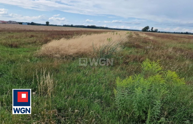 Chichy, działka budowlana 1300 m2, sprzedam, cena 58 500 zł.  
  
 Oferta wyłącznie w WGN Nieruchomości.  
  
 Sprzedam działkę