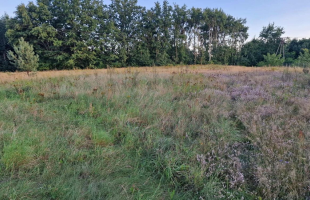 Henryków, działka budowlana, 2821 m2, sprzedam, cena 149 000 zł.  
  
Oferta wyłącznie w WGN Szprotawa  
  
Sprzedam działkę bu