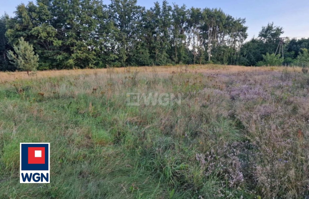 Henryków, działka budowlana, 2681 m2, sprzedam, cena 179 000 zł.  
  
Oferta wyłącznie w WGN Szprotawa  
  
Sprzedam działkę bu