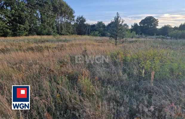 Henryków, działka budowlana, 2681 m2, sprzedam, cena 179 000 zł.  
  
Oferta wyłącznie w WGN Szprotawa  
  
Sprzedam działkę bu