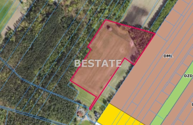 Działka 3 000m2 pod lasem w dobrej cenie.