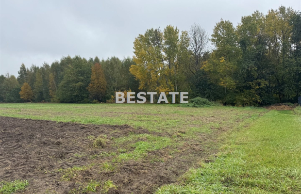 Działka 3 000m2 pod lasem w dobrej cenie.