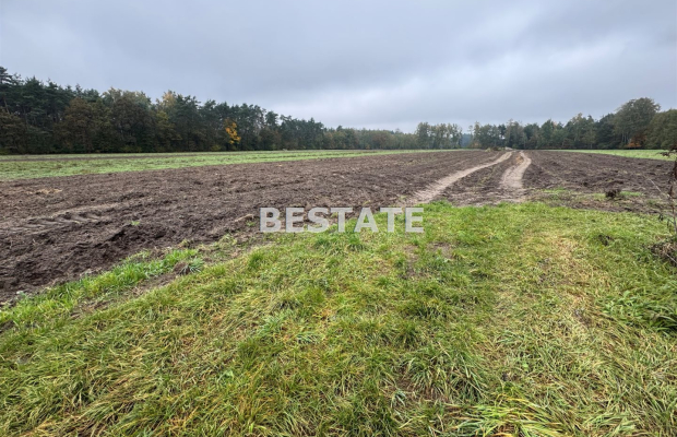 Działka 3 000m2 pod lasem w dobrej cenie.